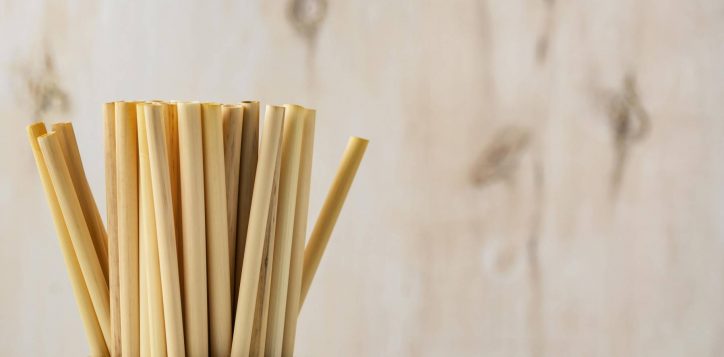 eco-friendly-environment-bamboo-tube-straws-copy-space-2