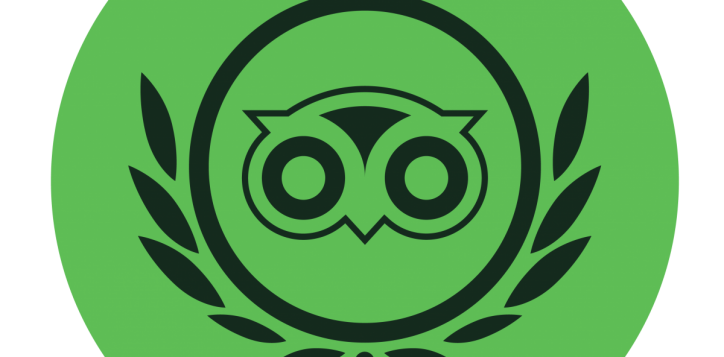 logo-icon-01_tripadvisor-redesigned-2
